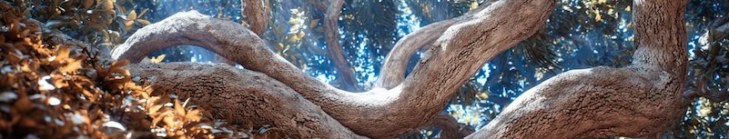 SDR is governance, with a sustainability&nbsp;label.