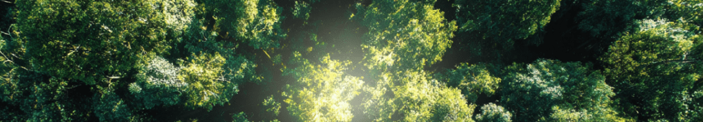 SDR: “specific” + “measurable” objectives.